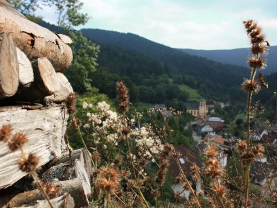 Holiday apartment House Margot Armbruster in the Black Forest - Environment photo 16