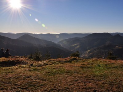 Holiday apartment House Margot Armbruster in the Black Forest - Environment photo 20
