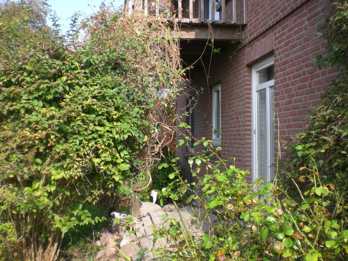 Holiday apartment Blanck - Outdoor photo 3