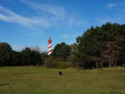 Holiday house The Hoege Woninck - Environment photo 20