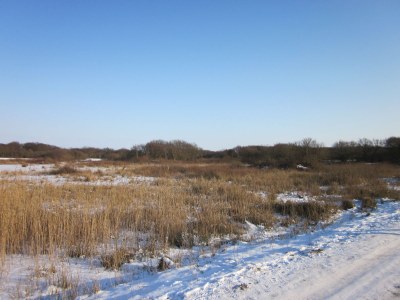 Bungalow Op 't Landtweg 16a - Environment photo 17