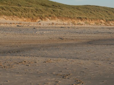 Bungalow Op 't Landtweg 16a - Environment photo 20