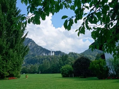 Holiday apartment Haus Sonnenblick - Outdoor photo 7