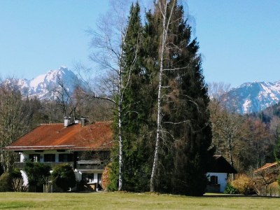 Holiday apartment Haus Sonnenblick - Outdoor photo 10