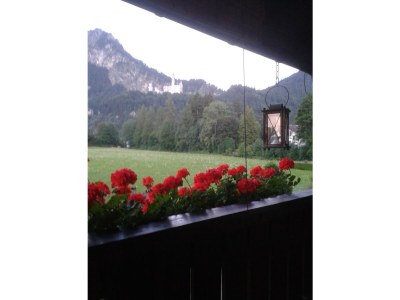 Holiday apartment Haus Sonnenblick - Outdoor photo 11