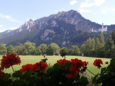 Holiday apartment Haus Sonnenblick - Outdoor photo 12