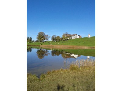 Holiday apartment Haus Sonnenblick - Environment photo 29