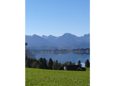 Holiday apartment Haus Sonnenblick - Environment photo 30