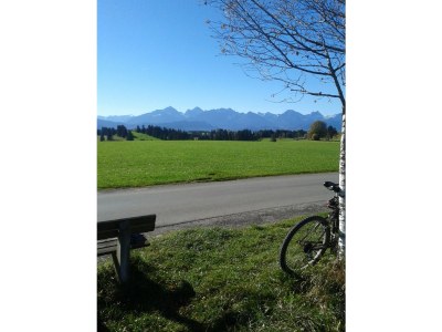 Holiday apartment Haus Sonnenblick - Environment photo 31