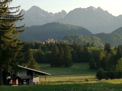 Holiday apartment Haus Sonnenblick - Environment photo 34