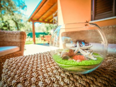 Villa Villa Jancaliva - Outdoor photo 7