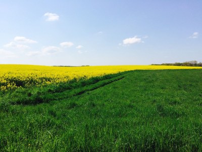 Holiday apartment 2 auf dem Landgut - Mosch - Environment photo 19