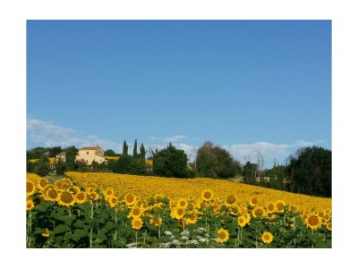 Holiday house Capanna in der "Casa Montale" - Environment photo 23