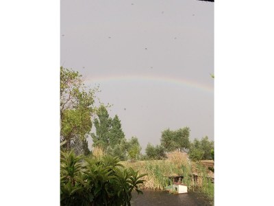 Holiday house Capanna in der "Casa Montale" - Environment photo 26