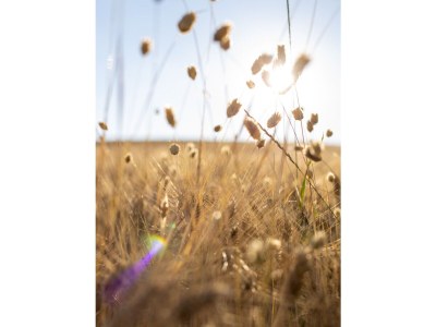 Holiday house Capanna in der "Casa Montale" - Environment photo 27