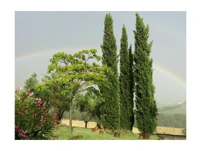 Holiday house Capanna in der "Casa Montale" - Environment photo 29