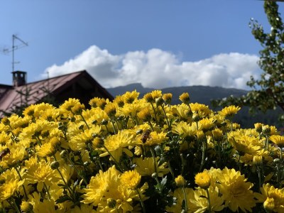 Holiday apartment Wolkensuite - Environment photo 29