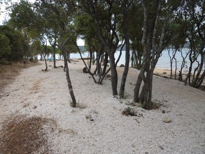 Holiday house Villa Bianca Karin - Environment photo 16