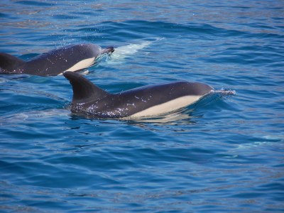 Apartment - No title - - Environment photo 33