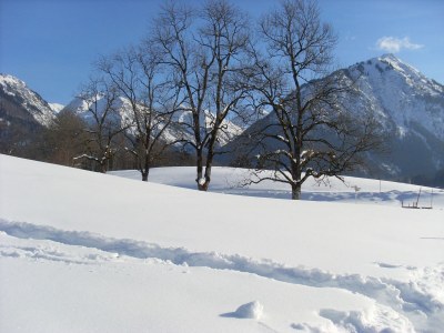 Holiday apartment Sansoni 5 - Environment photo 18