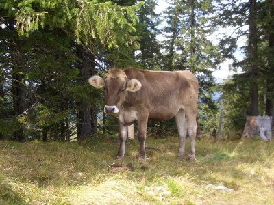 Holiday apartment Sansoni 5 - Environment photo 21