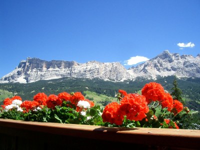 Holiday apartment at House Sotbosch App. Typ A - Outdoor photo 4