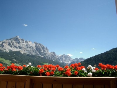 Holiday apartment at House Sotbosch App. Typ A - Outdoor photo 5