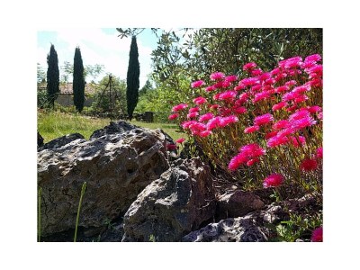 Holiday house Casa Lavanda - Outdoor photo 8