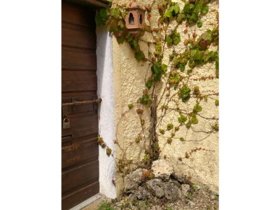 Holiday house Casa Lavanda - Outdoor photo 10