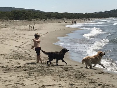 Holiday house Casa Lavanda - Environment photo 33