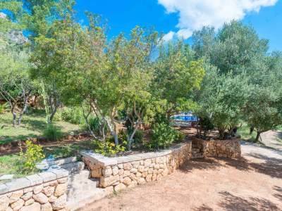 Villa Sa Tarongera - Outdoor photo 11