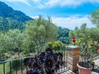 Villa Sa Tarongera - Environment photo 45