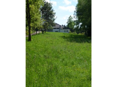 Holiday house "Zum Alten Forsthaus" - Environment photo 39