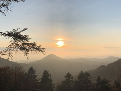 Holiday house "Zum Alten Forsthaus" - Environment photo 40