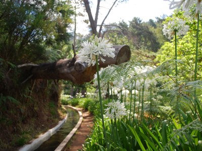 Villa Villa 17°West       with solar pool - Environment photo 33