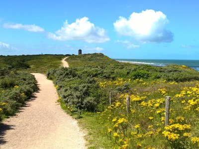 Holiday house Garden@Domburg - Environment photo 18