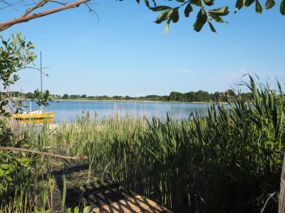 Holiday apartment Inga - Outdoor photo 5