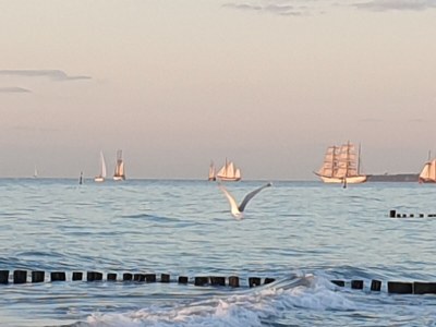 Holiday apartment Beach House - Südstrand - Environment photo 20