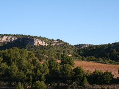 Holiday house Le Levant Nr. 10 - Environment photo 12