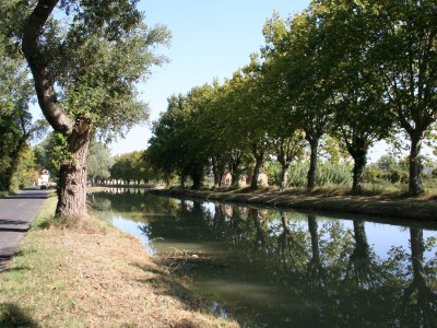 Holiday house Le Levant Nr. 10 - Environment photo 13