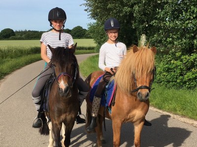 Holiday house Stürsholz. - Environment photo 19