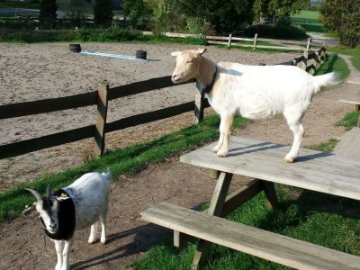 Holiday house Stürsholz. - Environment photo 21