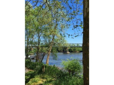 Holiday house Zur Mainpforte - Environment photo 17