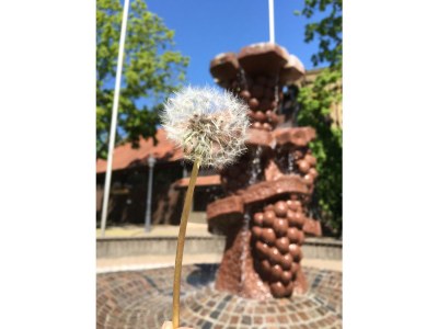 Holiday house Zur Mainpforte - Environment photo 20