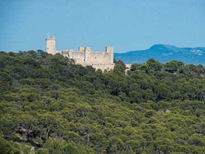 Chalet Can Rei Des Pla - Outdoor photo 15