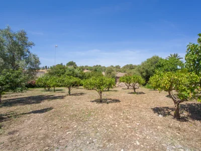 Villa Son Gorrió - Outdoor photo 13