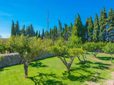 Finca Sa Vinya Des Compte - Outdoor photo 15