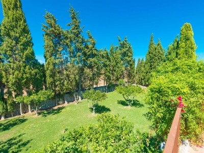 Finca Sa Vinya Des Compte - Outdoor photo 16