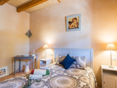 Finca Sa Vinya Des Compte - Features photo 37