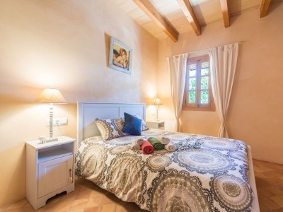 Finca Sa Vinya Des Compte - Features photo 38